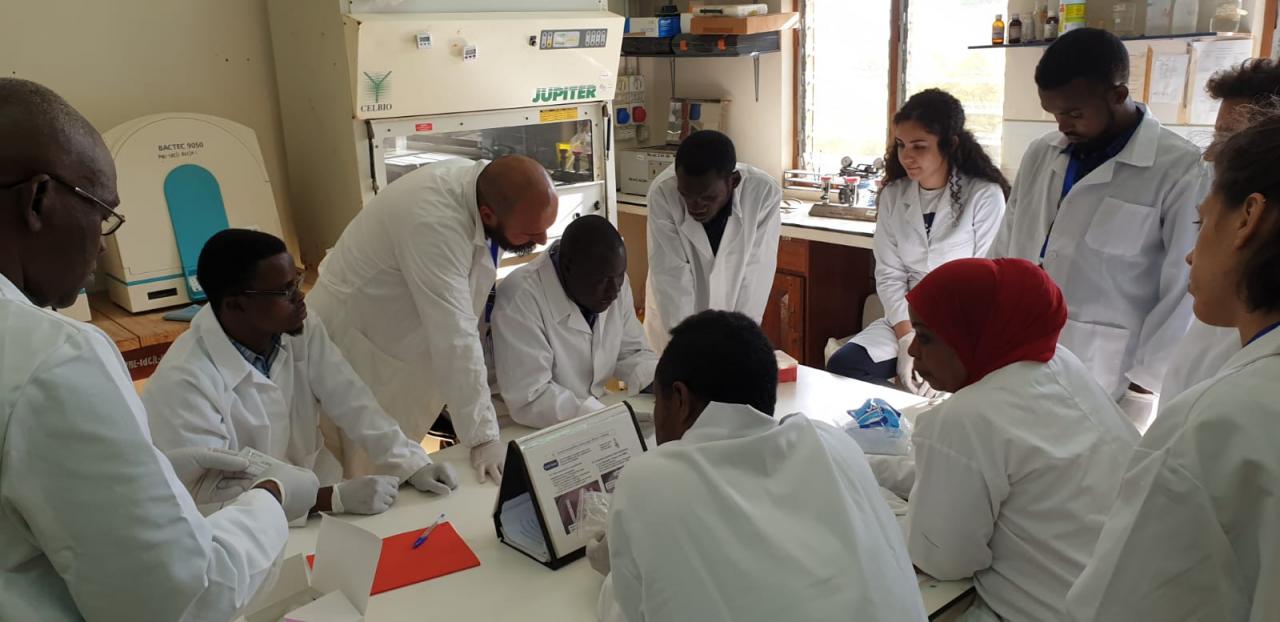 African initiative to award upcoming research scientists