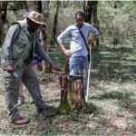 Saving Kenya’s Oloolua Forest