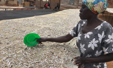 Increasing Uganda’s appetite for silver fish