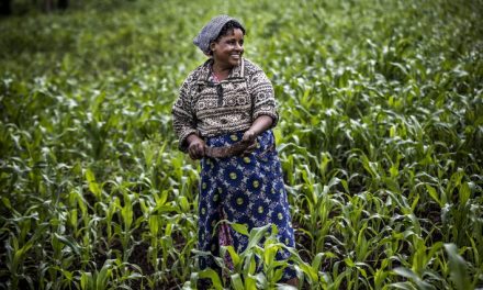 Gender equality in land ownership crucial in the fight against hunger in Africa