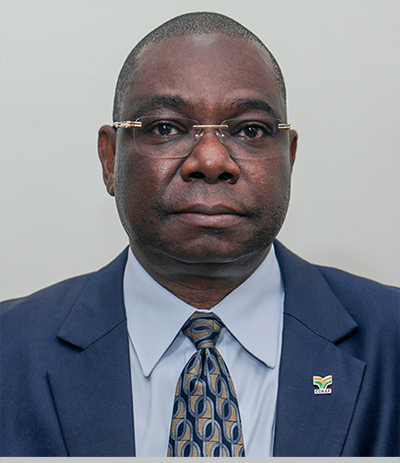 Dr Abdou Tenkouano Director General of icipe
