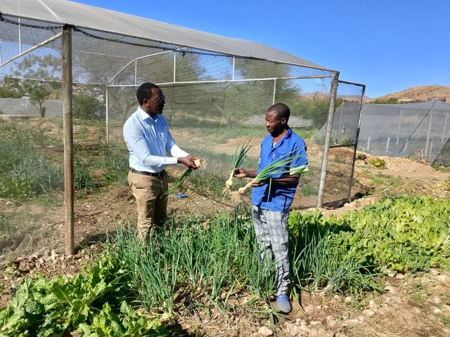 Urban agriculture at Farm Okukuna in Windhoek City where the vulnerable find meaning