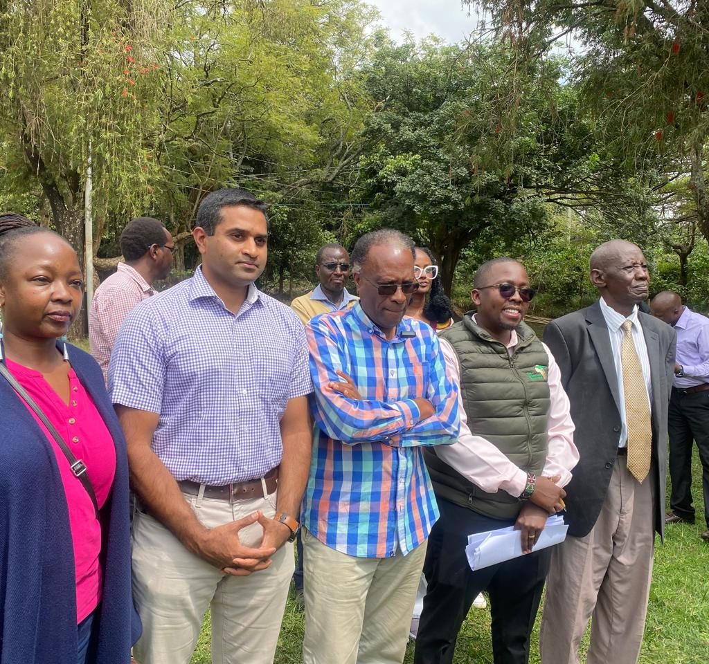 Kenya’s Tree-Planting Push Faces Scrutiny as Environmental Groups Warn of Forest Loss