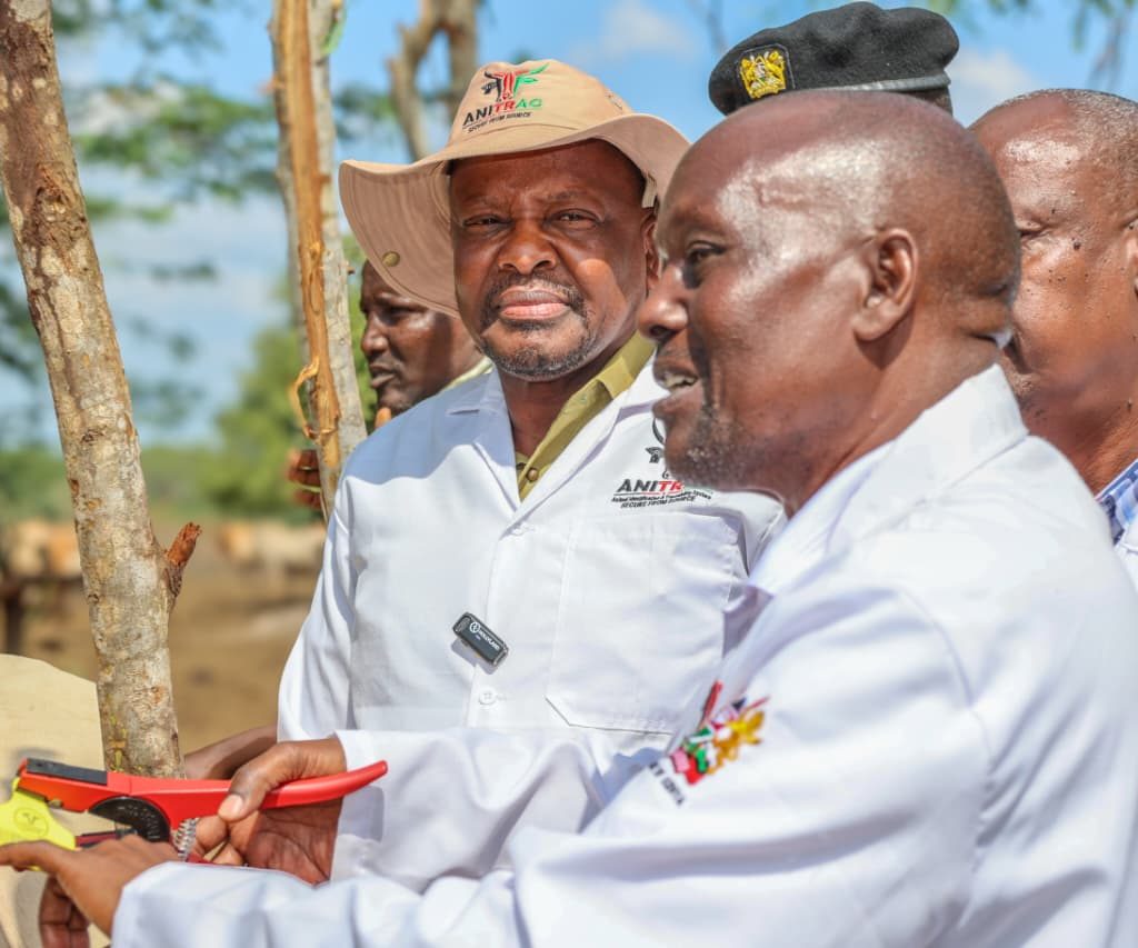 Kenya Expands Digital Livestock Tracking System to Boost Exports and Curb Animal Disease